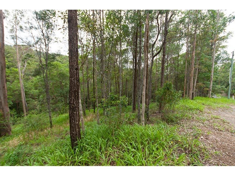 64 Hoop Pine Court, Advancetown QLD 4211