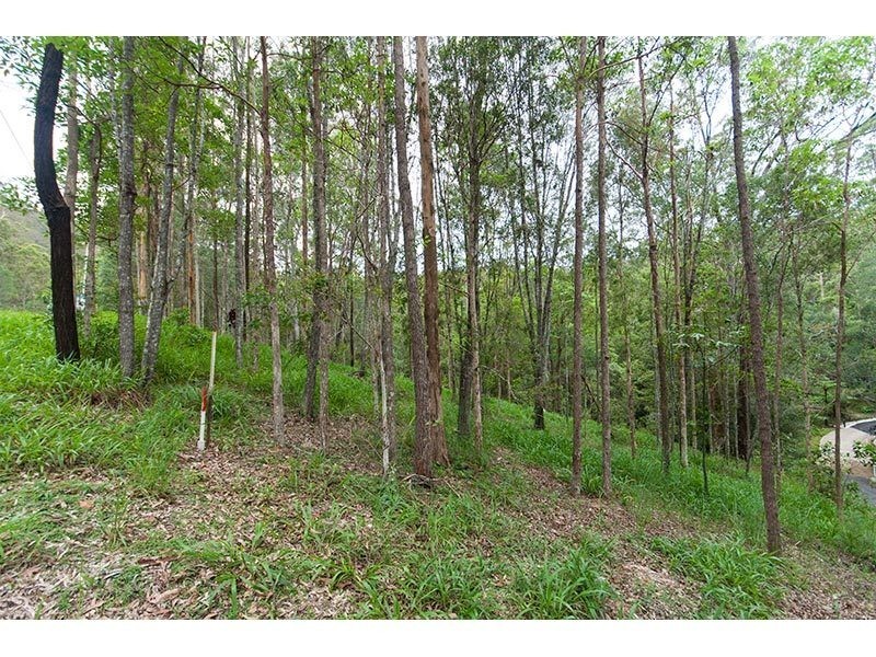 64 Hoop Pine Court, Advancetown QLD 4211