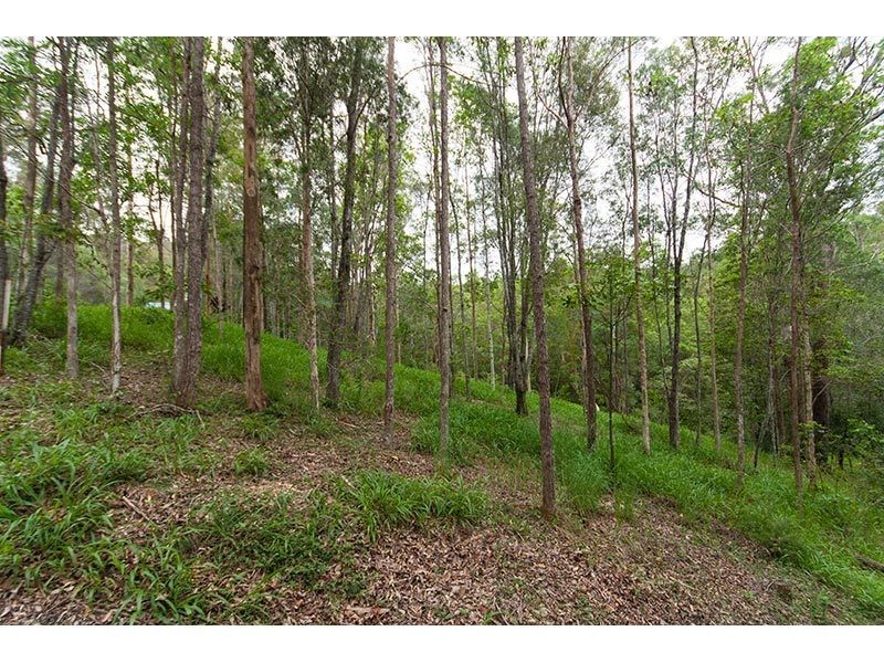 64 Hoop Pine Court, Advancetown QLD 4211