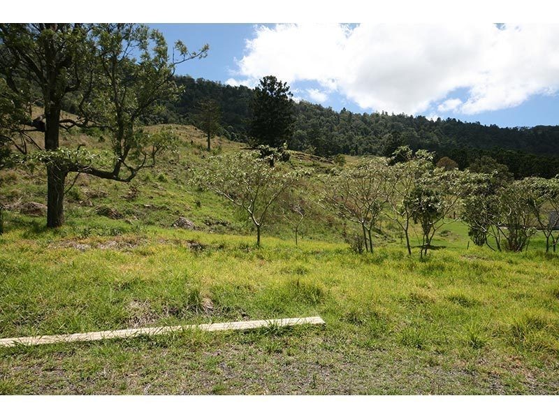 696 Illinbah Road, Illinbah QLD 4275