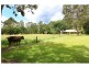 654 Lamington National Park Road, Canungra QLD 4275