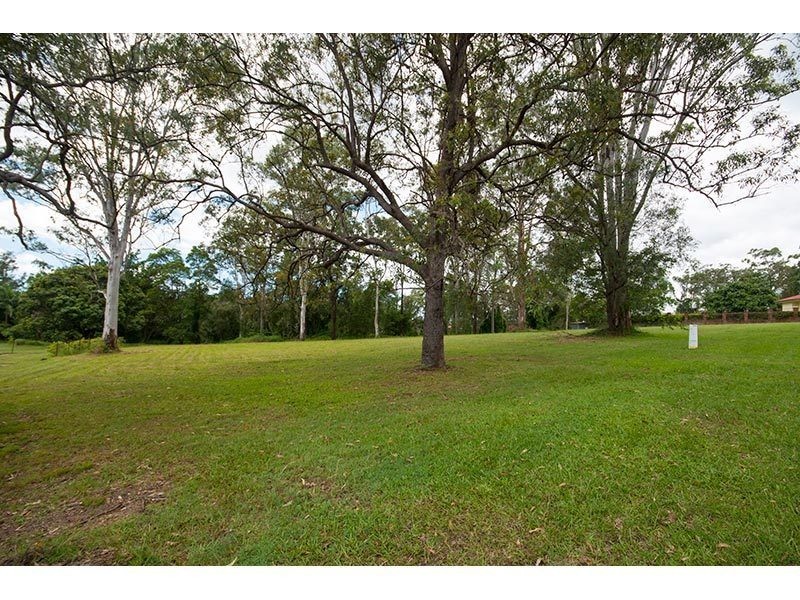 62 Koola Drive, Nerang QLD 4211