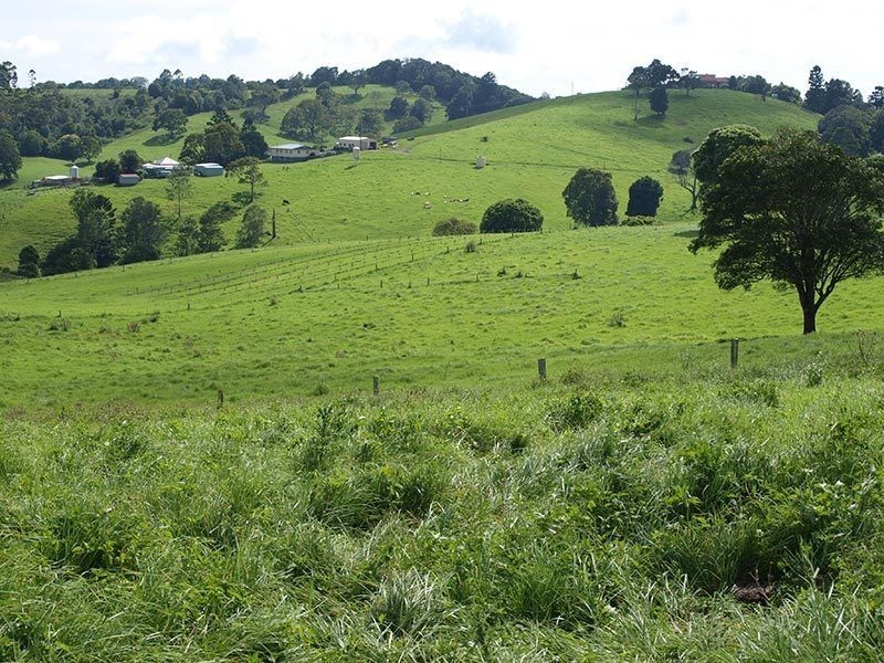 Lot 2, 1698  Beechmont Road, Beechmont QLD 4211