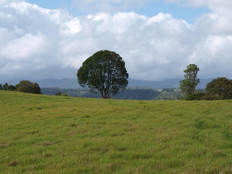Lot 6, 1698 Beechmont Road, Beechmont QLD 4211