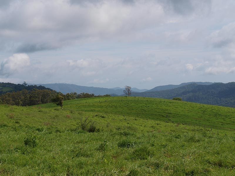 Lot 6, 1698 Beechmont Road, Beechmont QLD 4211