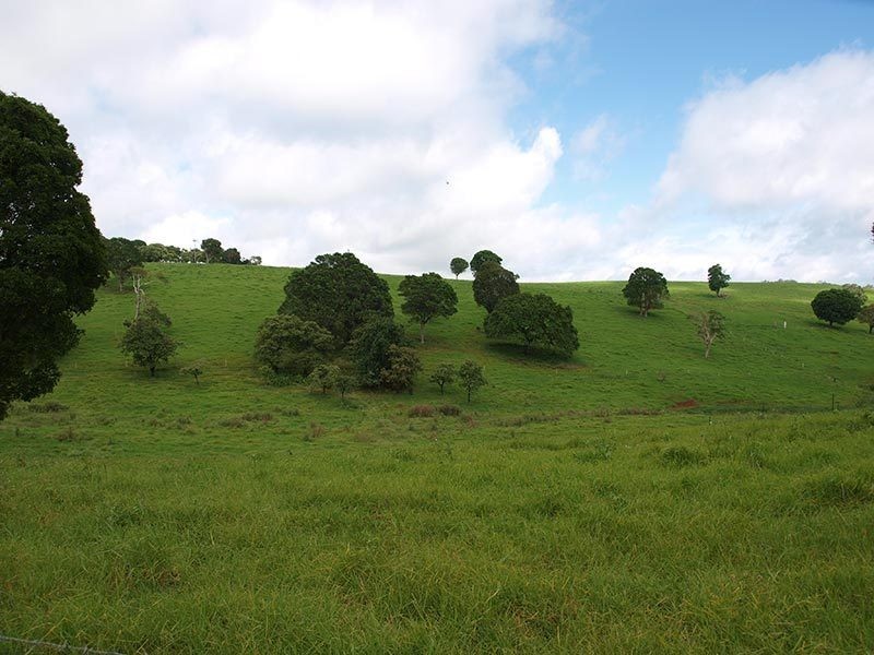 Lot 6, 1698 Beechmont Road, Beechmont QLD 4211