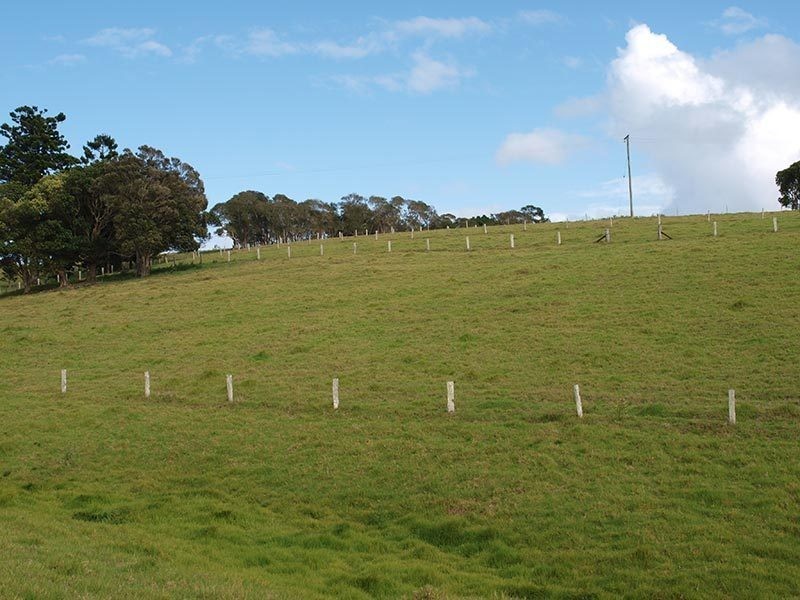 Lot 6, 1698 Beechmont Road, Beechmont QLD 4211