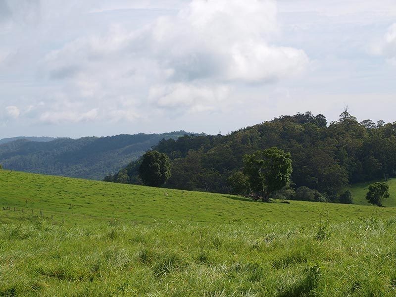 Lot 6, 1698 Beechmont Road, Beechmont QLD 4211