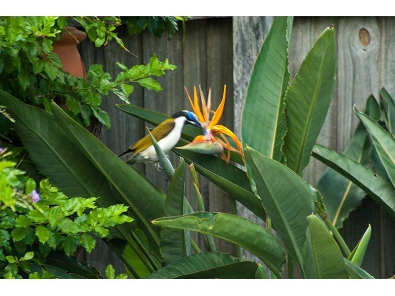 24 Armstrong Way, Highland Park QLD 4211