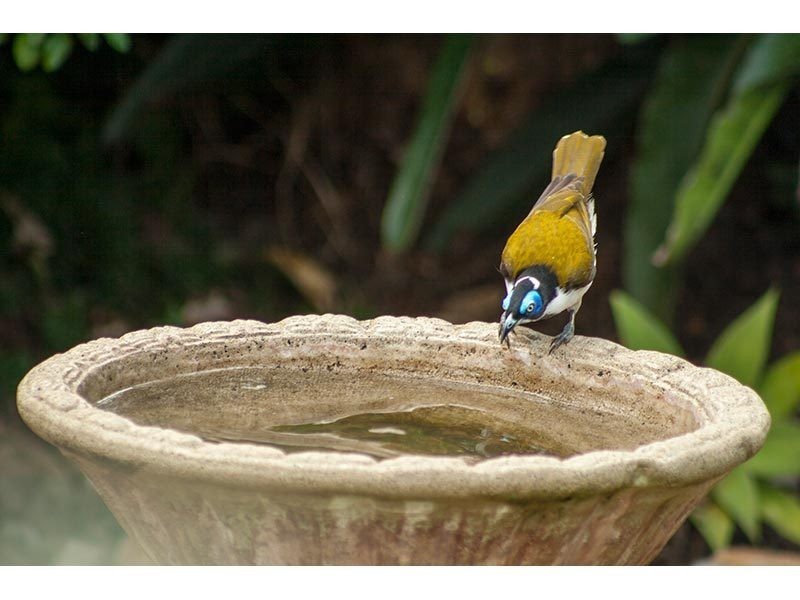 24 Armstrong Way, Highland Park QLD 4211