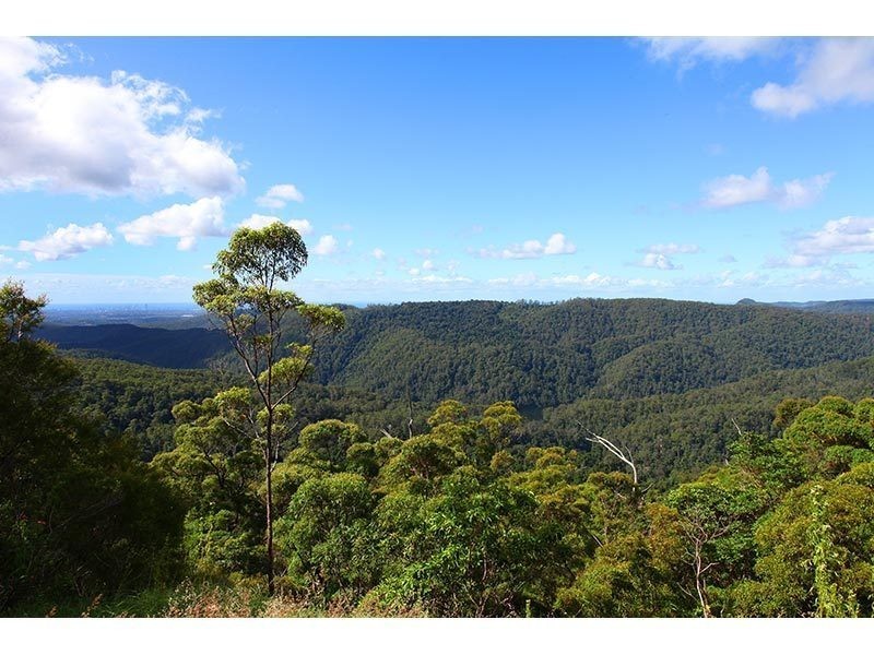 2196 Springbrook Road, Springbrook QLD 4213