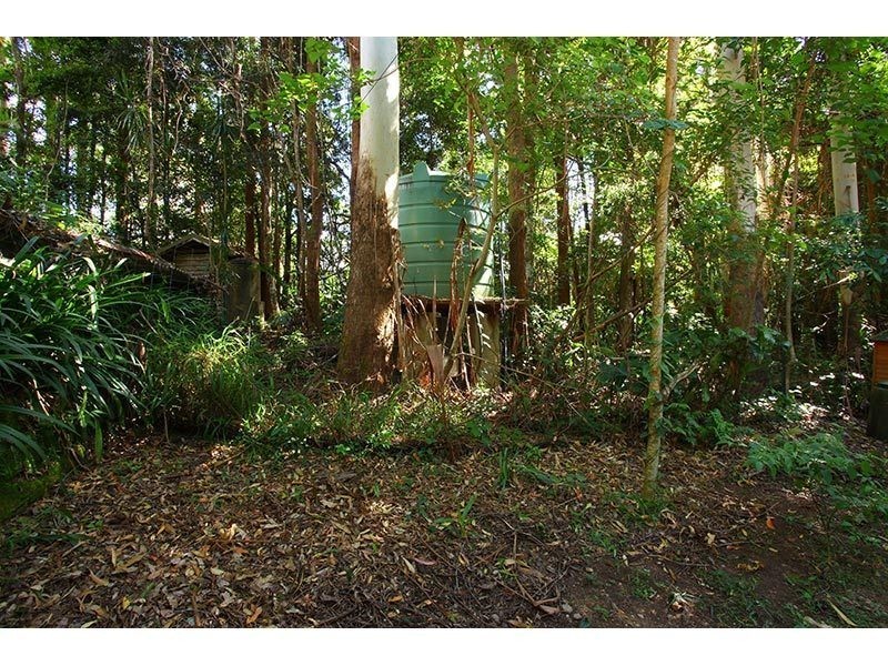 2196 Springbrook Road, Springbrook QLD 4213