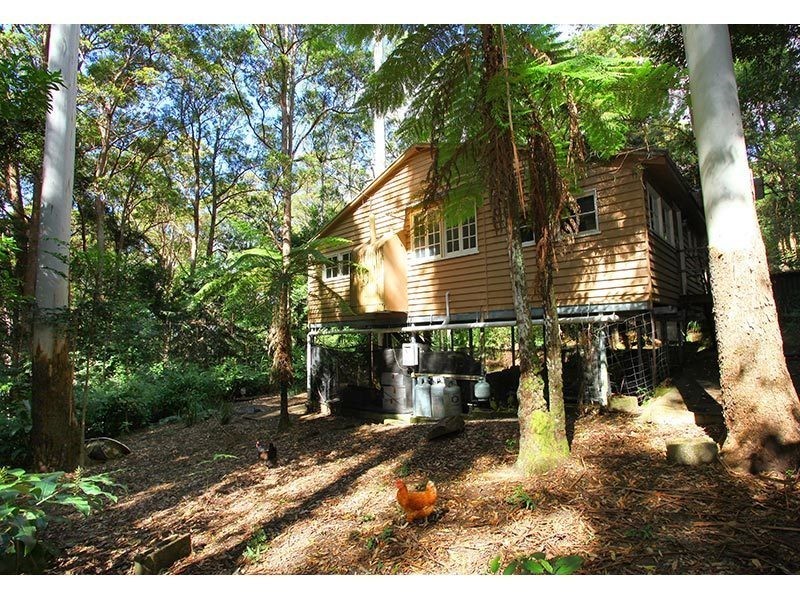 2196 Springbrook Road, Springbrook QLD 4213