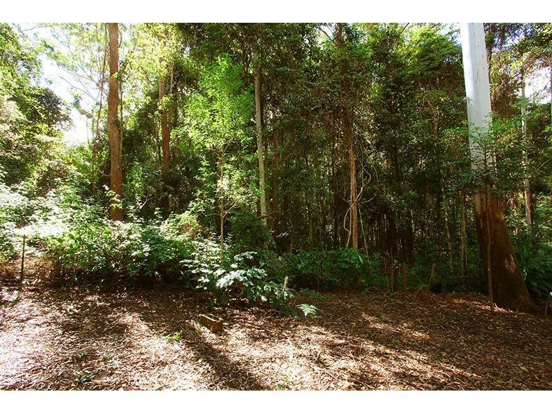 2196 Springbrook Road, Springbrook QLD 4213