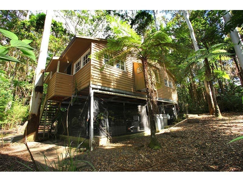 2196 Springbrook Road, Springbrook QLD 4213