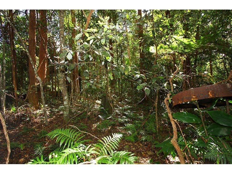 2196 Springbrook Road, Springbrook QLD 4213