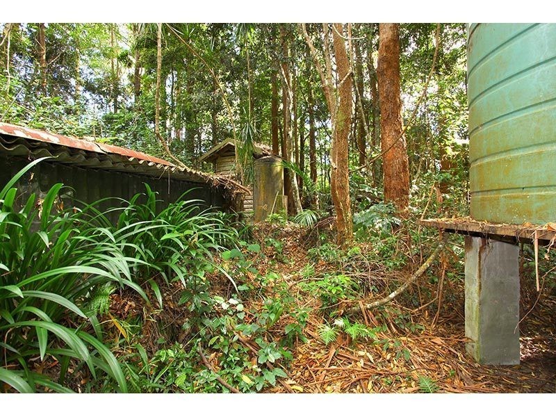 2196 Springbrook Road, Springbrook QLD 4213