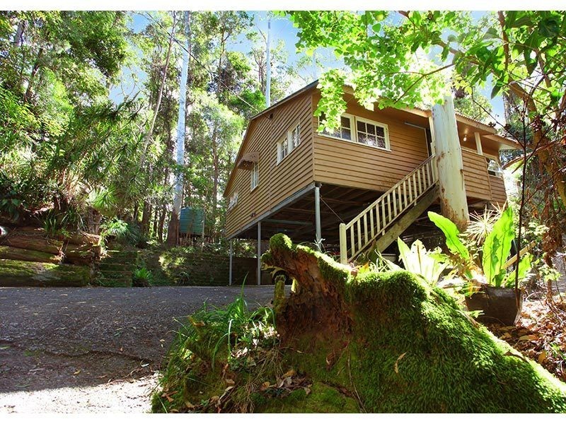 2196 Springbrook Road, Springbrook QLD 4213