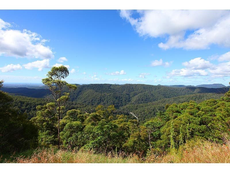 2196 Springbrook Road, Springbrook QLD 4213