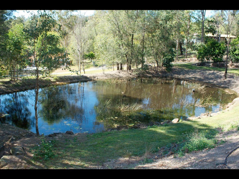 10  Nature Valley Court, Tallai QLD 4213