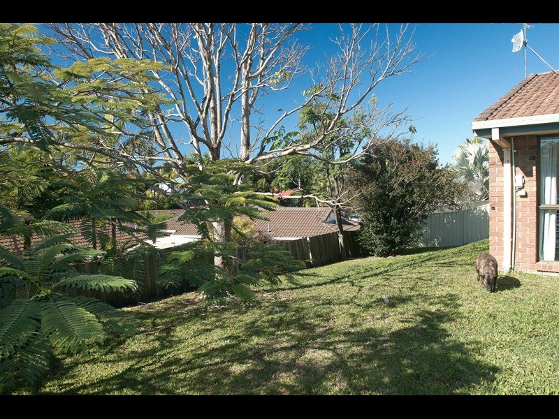 10 Jancoon Court, Carrara QLD 4211