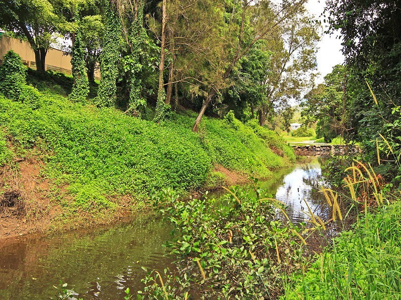 19 Bartlett Avenue, Nerang QLD 4211