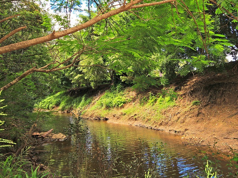 19 Bartlett Avenue, Nerang QLD 4211