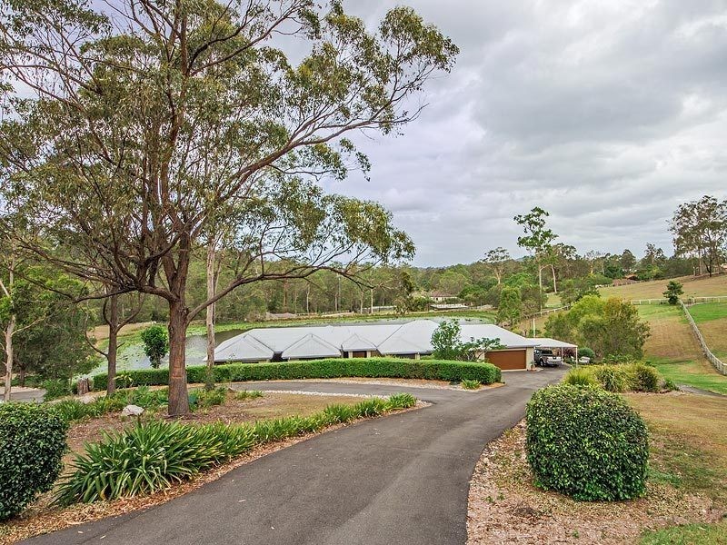 173 Country Crescent, Nerang QLD 4211