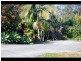 3 Rosella Court, Carrara QLD 4211