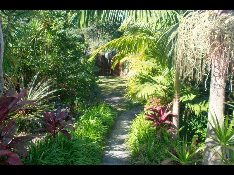 3 Rosella Court, Carrara QLD 4211