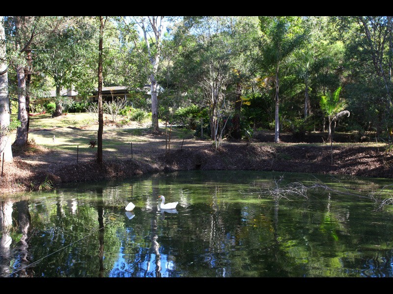 72 Advancetown Road, Advancetown QLD 4211
