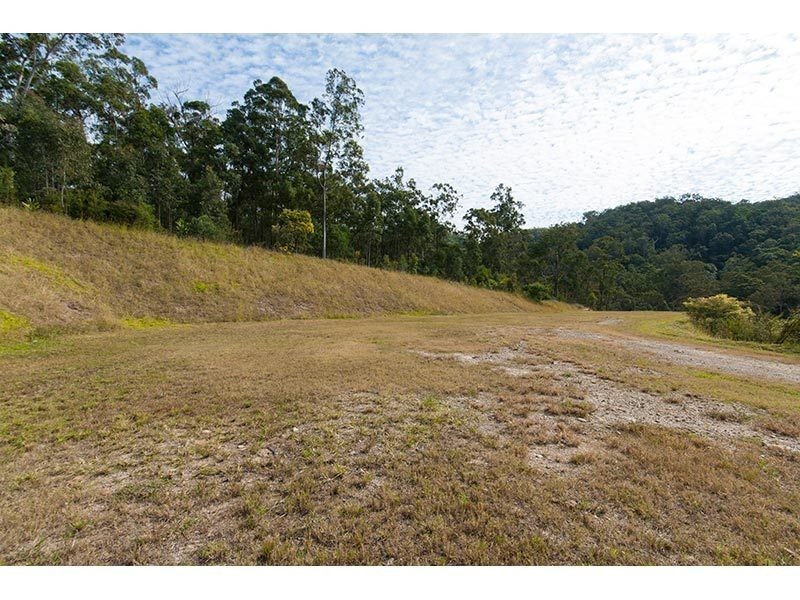 217 Crane Crescent, Nerang QLD 4211