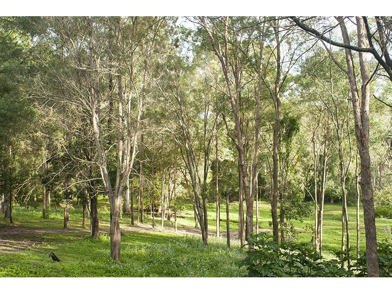 265 Beaudesert Nerang Road, Nerang QLD 4211