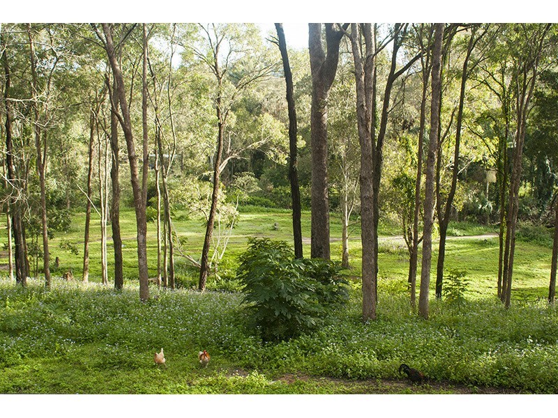 265 Beaudesert Nerang Road, Nerang QLD 4211