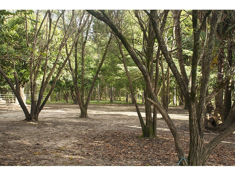 265 Beaudesert Nerang Road, Nerang QLD 4211