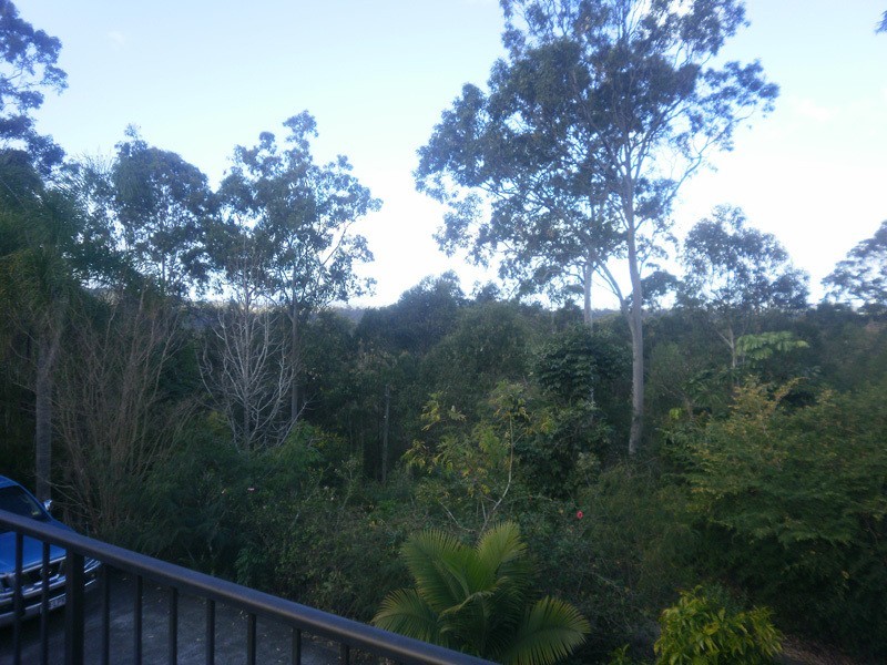 41a Castle Hill Drive South, Gaven QLD 4211