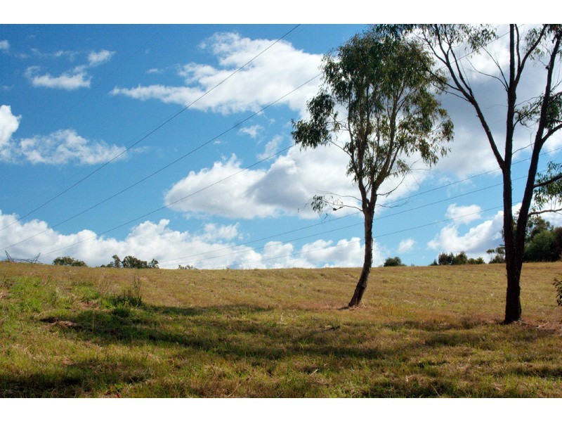 25 Nature Valley Court, Tallai QLD 4213