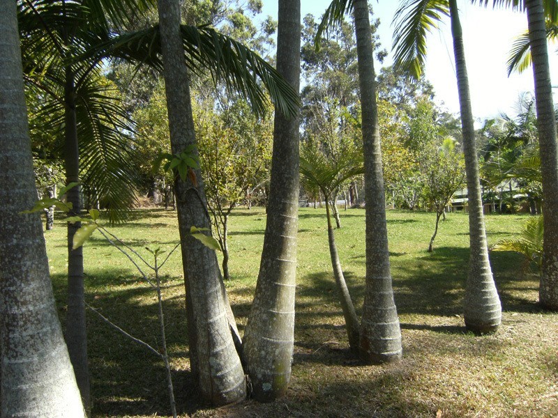 13 Coolibah Road, Gaven QLD 4211