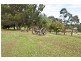 Denham Court NSW 2565