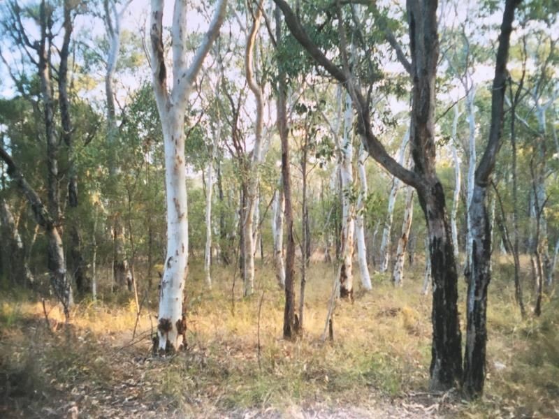Lot 3 Pleasure Point Road, Pleasure Point NSW 2172