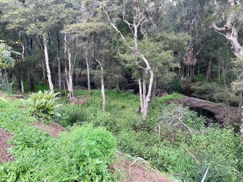 Hammondville NSW 2170