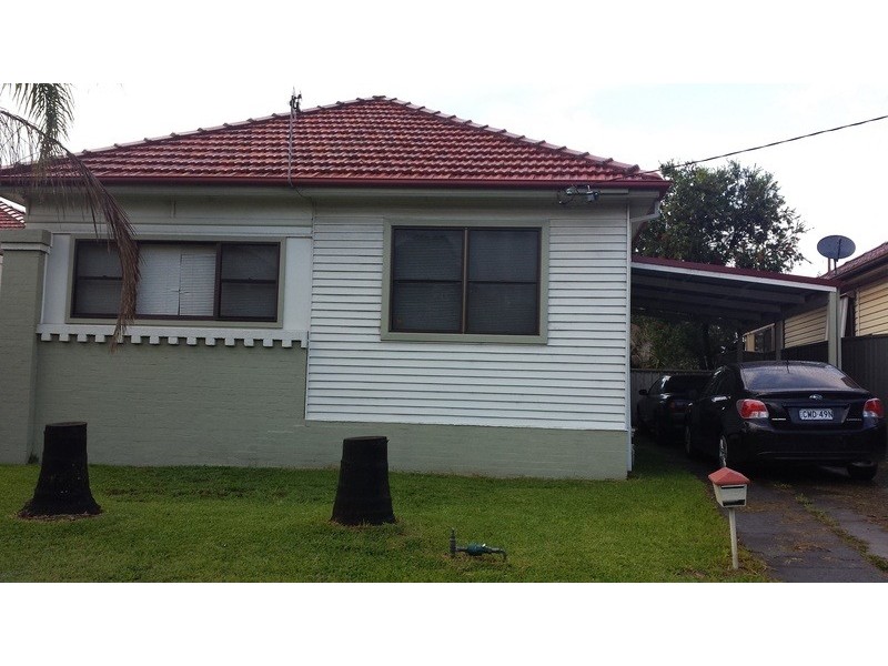 149 Wilkinson Avenue, Birmingham Gardens NSW 2287