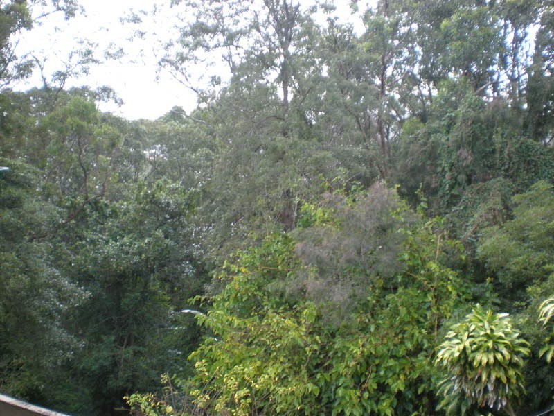 Warners Bay NSW 2282