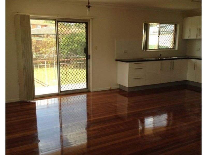 67 Pickworth Street, Upper Mount Gravatt QLD 4122