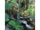 LOT 1 SANTACATTERINA ROAD, Mossman QLD 4873