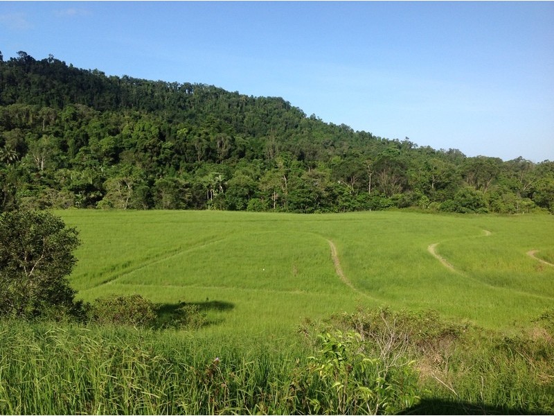 LOT 1 SANTACATTERINA ROAD, Mossman QLD 4873