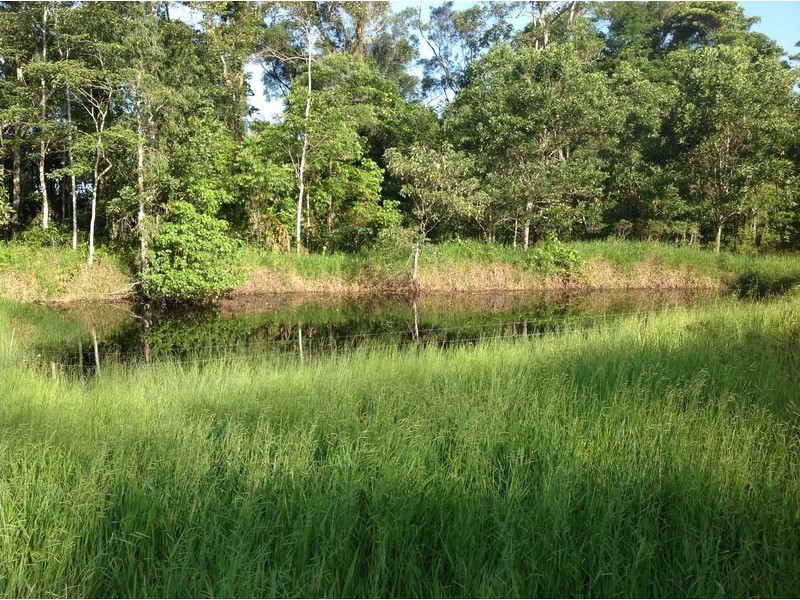 LOT 1 SANTACATTERINA ROAD, Mossman QLD 4873
