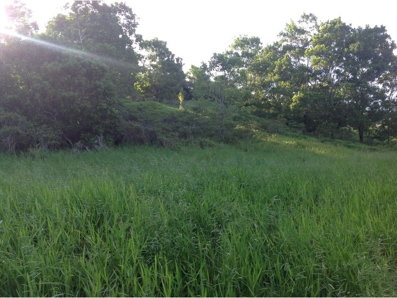 LOT 1 SANTACATTERINA ROAD, Mossman QLD 4873