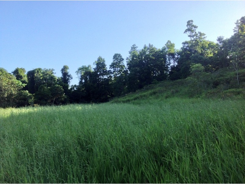 LOT 1 SANTACATTERINA ROAD, Mossman QLD 4873