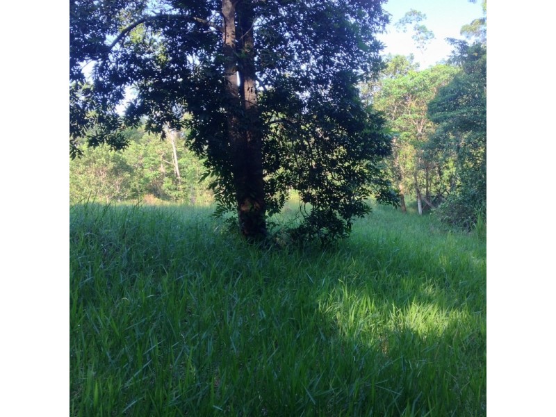 LOT 1 SANTACATTERINA ROAD, Mossman QLD 4873